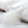 Top Quality Eco-Friendly White Quilt Cover